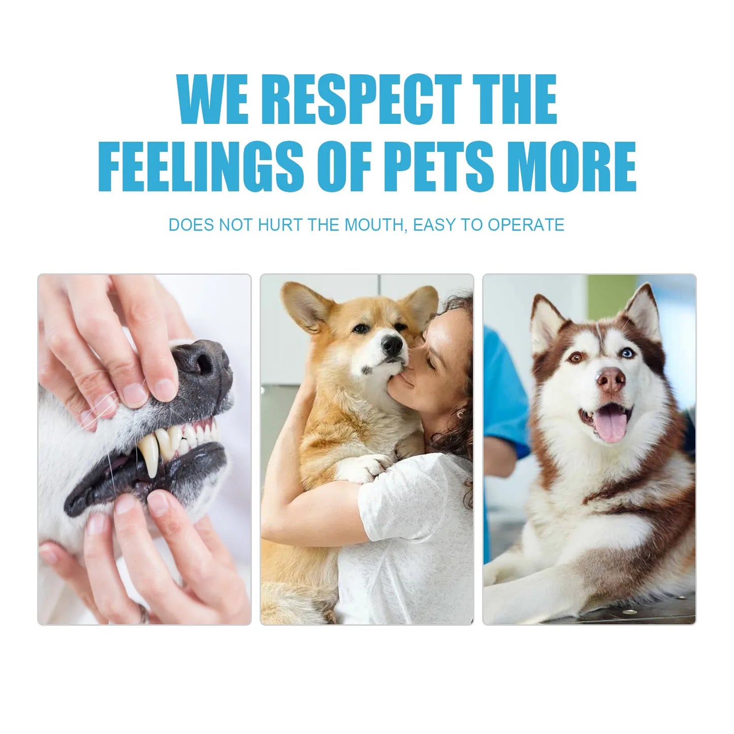 Pet Toothpaste with Tartar Control — Edible Formula for Dogs & Cats
