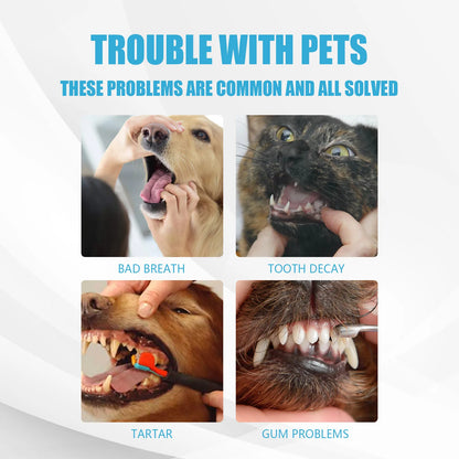 Pet Toothpaste with Tartar Control — Edible Formula for Dogs & Cats